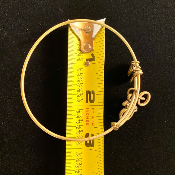 Alex and Ani Charity by Design Bike Rafaelian Gold Bangle Bracelet - Picture 12 of 14